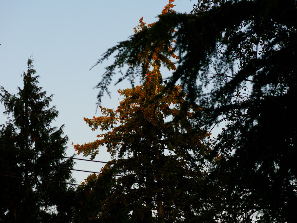 P9260001.jpg