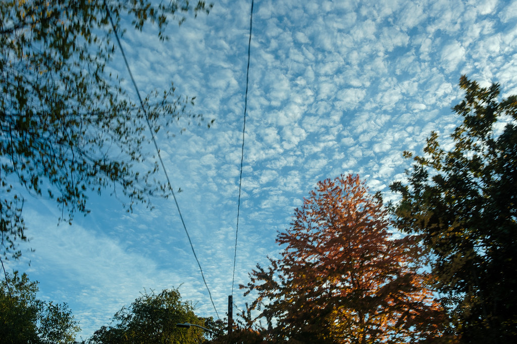 DSCF2881.jpg