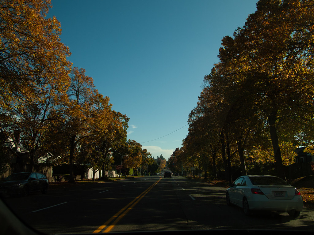 _1030820.jpg