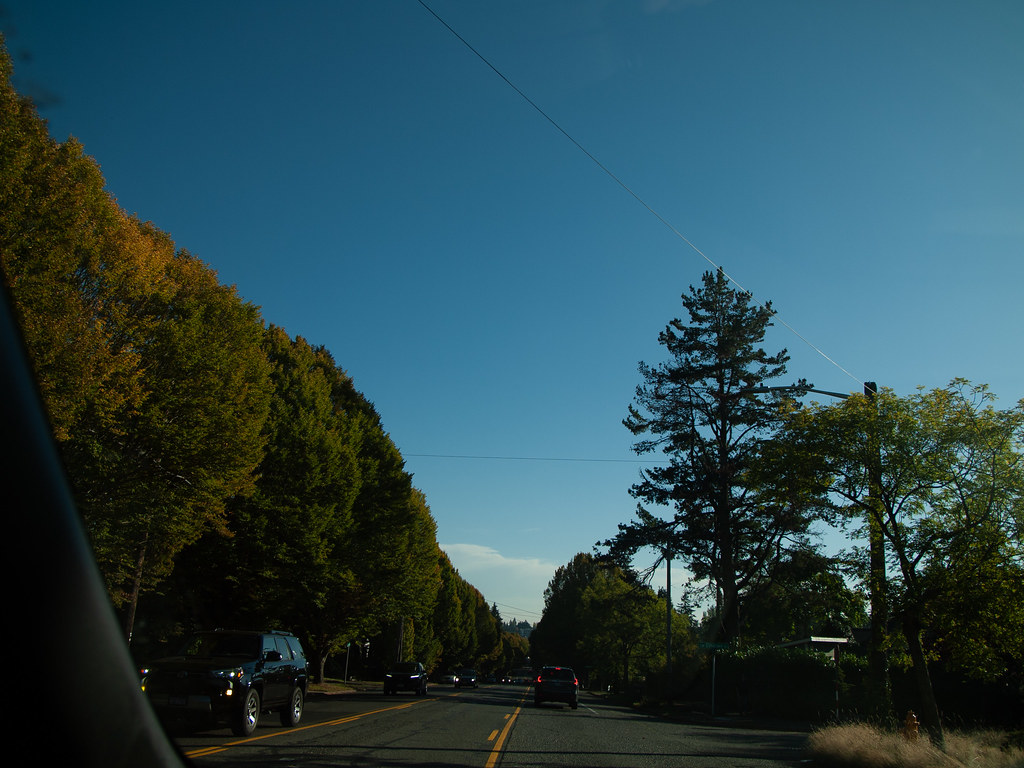 _1030830.jpg