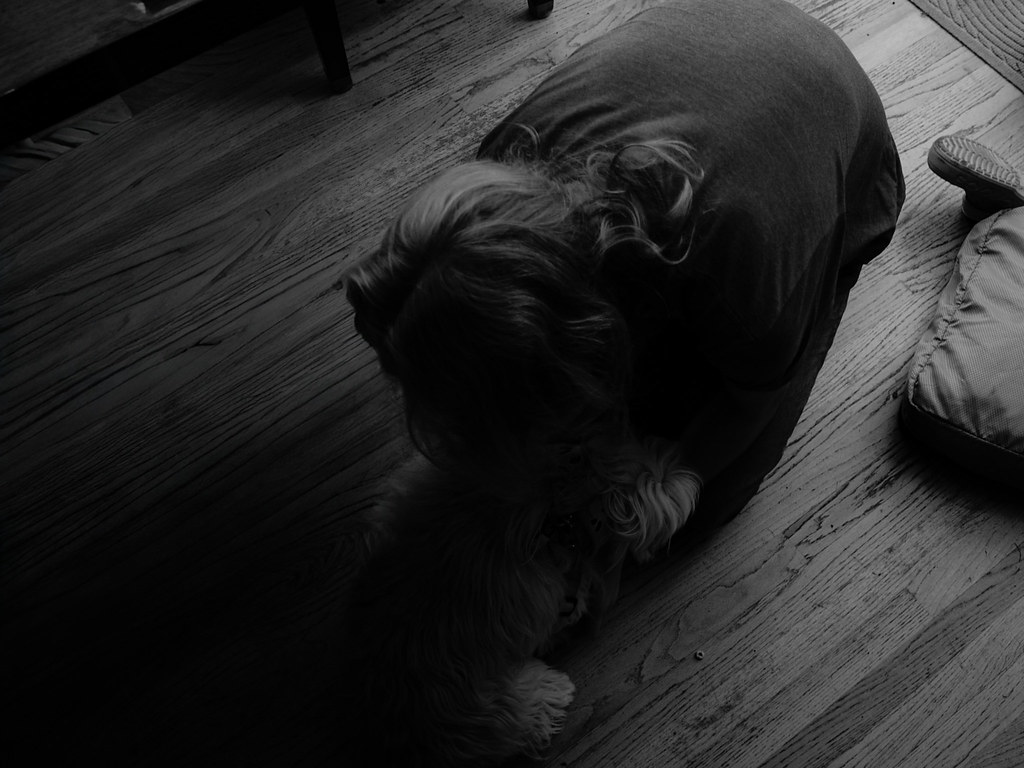 _1030849.jpg