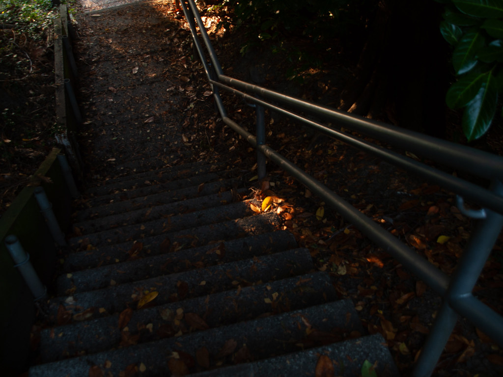 _1030966.jpg