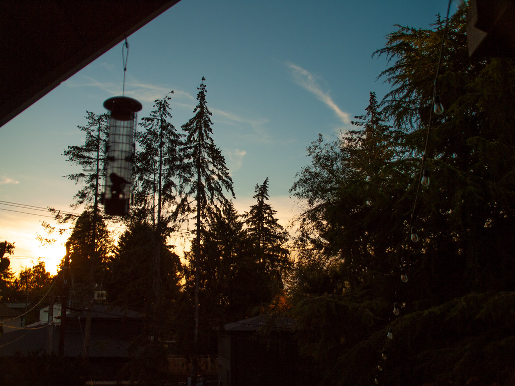 _1030992.jpg