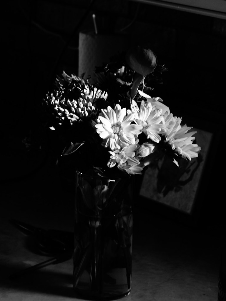 _1030997.jpg