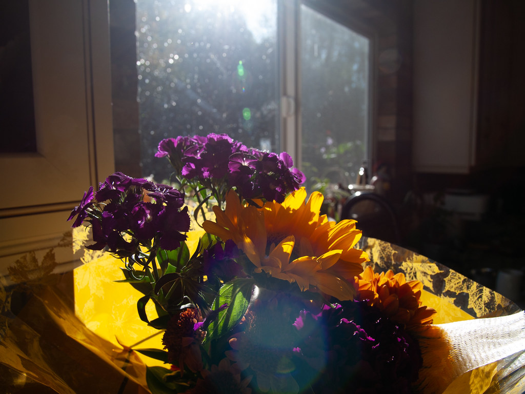_1030889.jpg